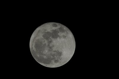 Lune - 1000mm_4316126715_l.jpg